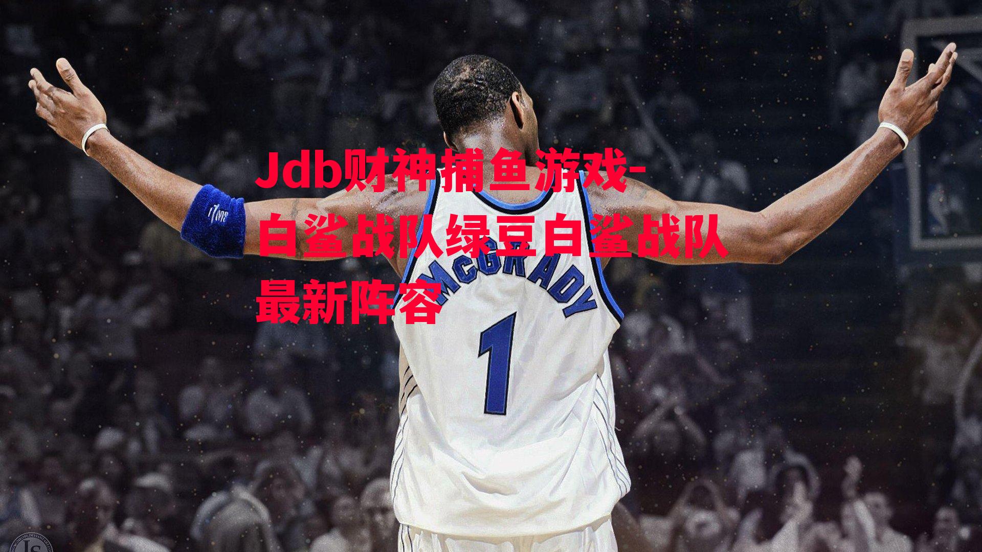 白鲨战队绿豆白鲨战队最新阵容